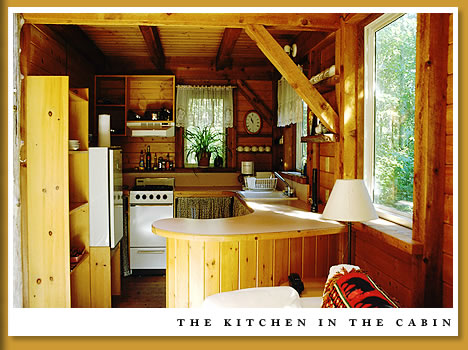 tofino cottage kitchen at the African Beach cabin in Tofino
