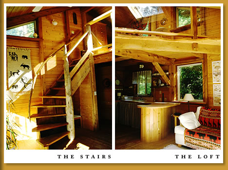 curved staircase of in the cabin in Tofino
