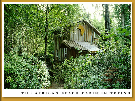 The African Beach Cabin in Tofino